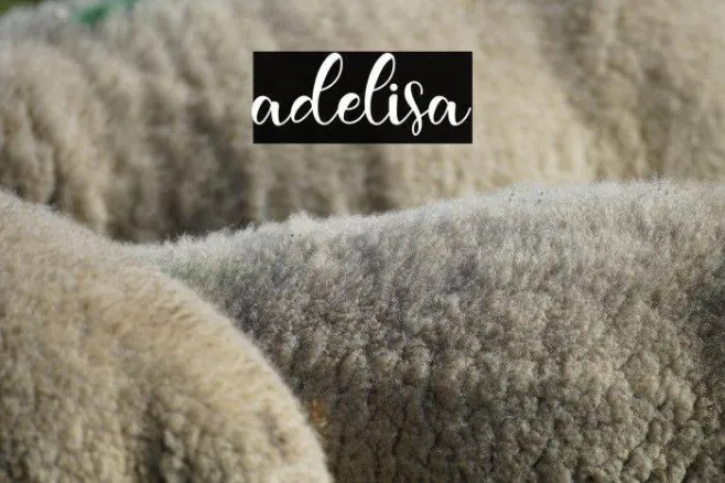 adelisa Example 2