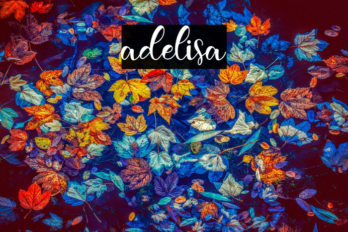 adelisa Example 3