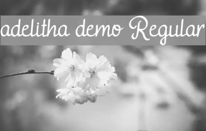 adelitha demo Regular Font examples