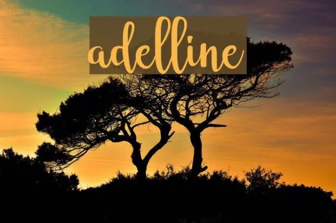 adelline Example 1