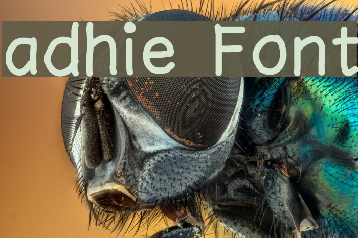 adhie Font examples