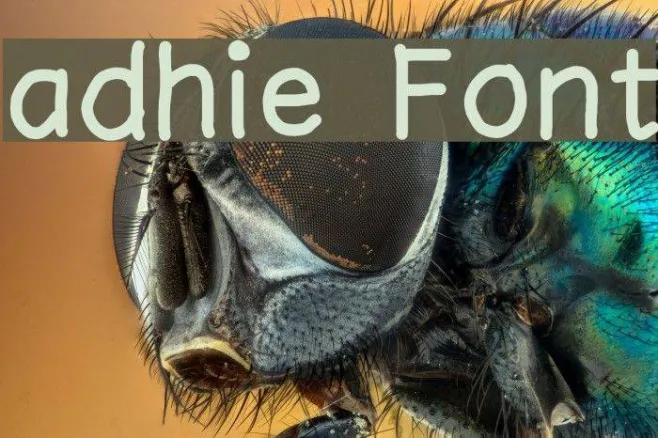 adhie Example 3