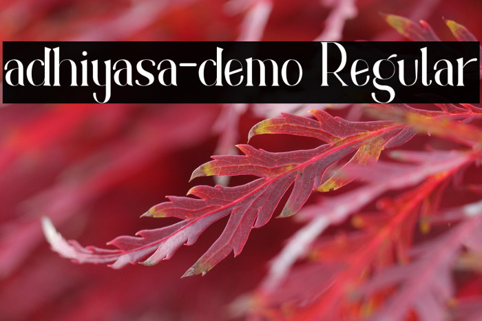 adhiyasa-demo Regular Example 1