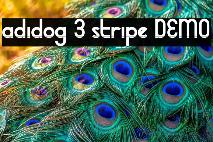 adidog 3 stripe DEMO Example 1