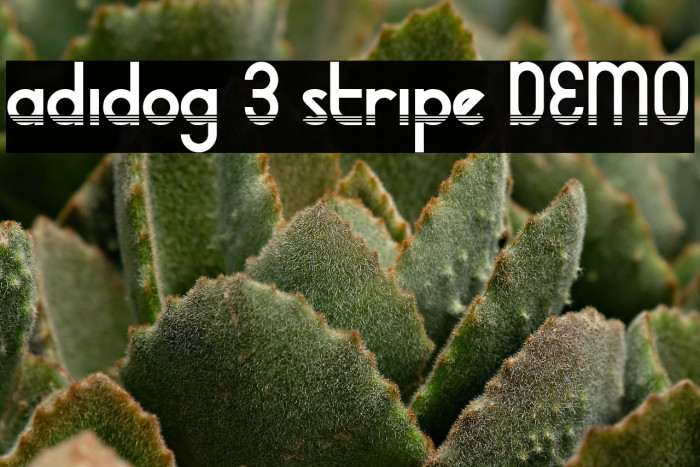 adidog 3 stripe DEMO Example 2
