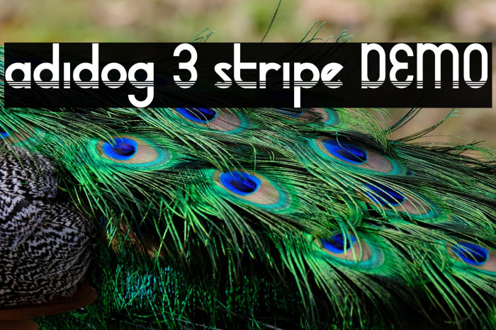 adidog 3 stripe DEMO Example 3