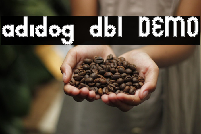 adidog dbl DEMO Example 1