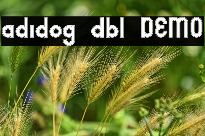 adidog dbl DEMO Example 2