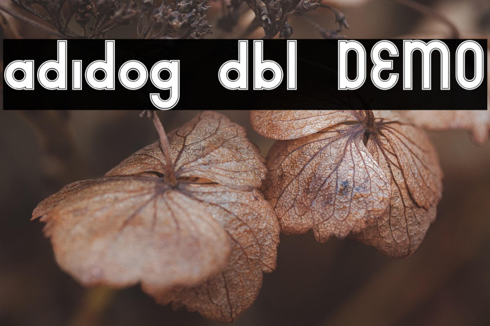 adidog dbl DEMO Example 3