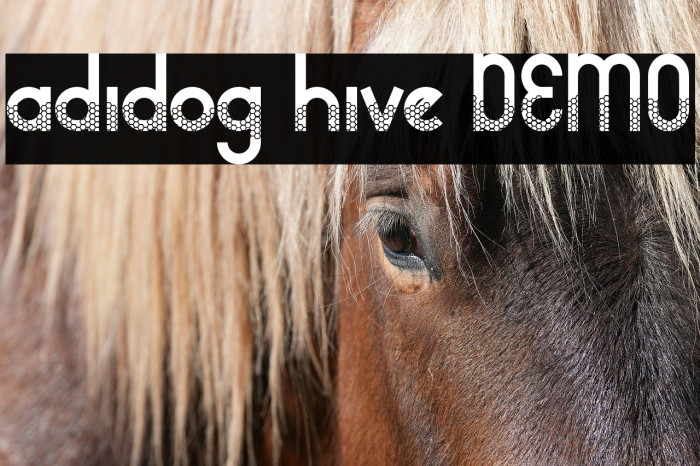 adidog hive DEMO Example 3