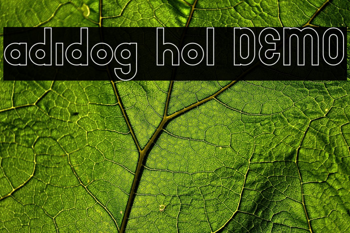 adidog hol DEMO Example 3