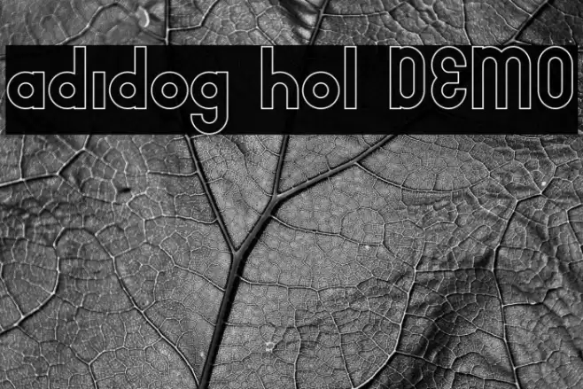 adidog hol DEMO Шрифта examples