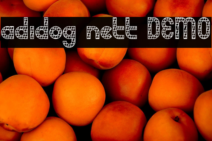 adidog nett DEMO Example 1