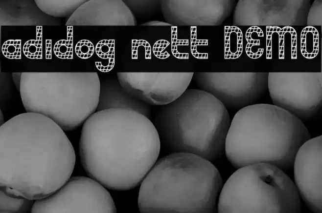 adidog nett DEMO Шрифта examples
