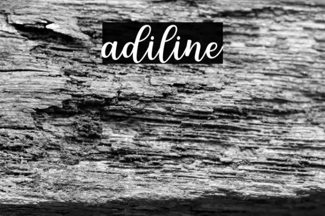 adiline Font examples