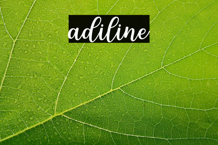adiline Example 2