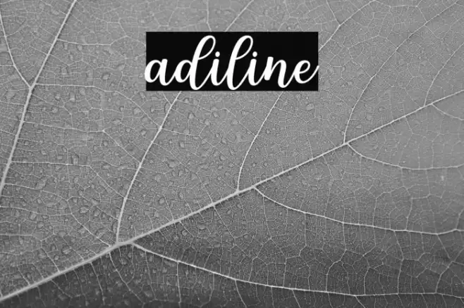 adiline Font examples