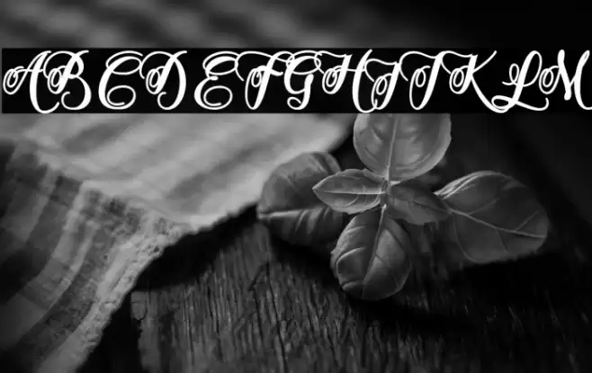 adinda script Font examples