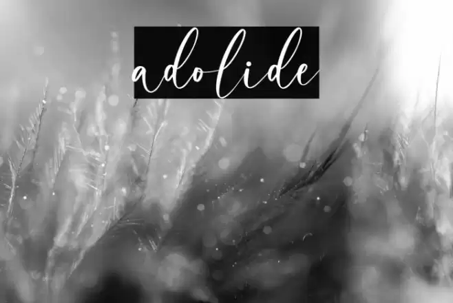 adolide Font examples