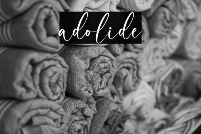 adolide Font examples