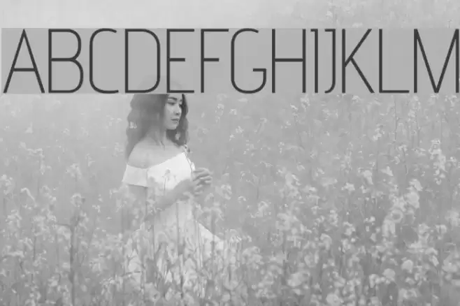 advent Extra Light Font examples