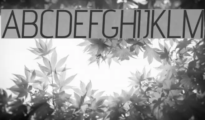 advent Oblique Font examples