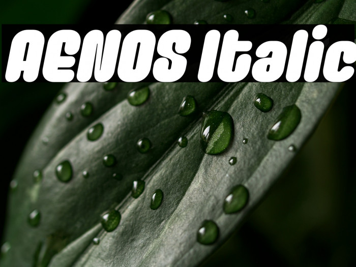 AENOS Italic Example 1
