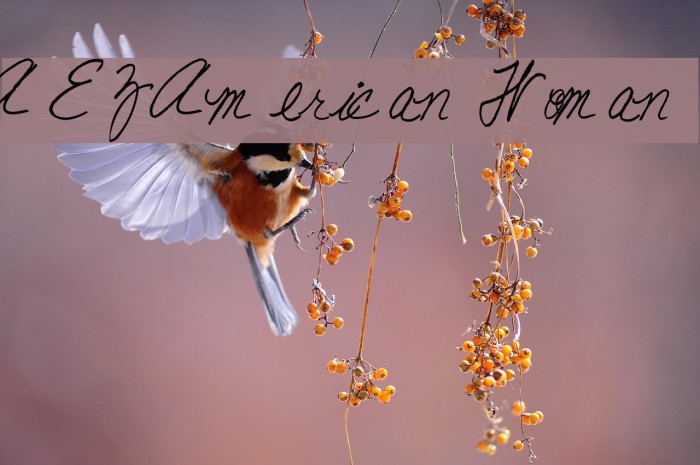 AEZ American Woman Example 3