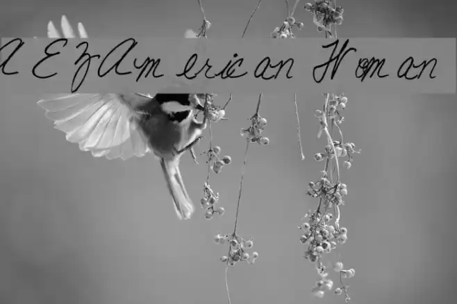 AEZ American Woman Font examples