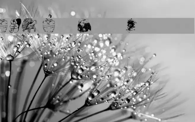 AEZ April Fool's Day dings Font examples