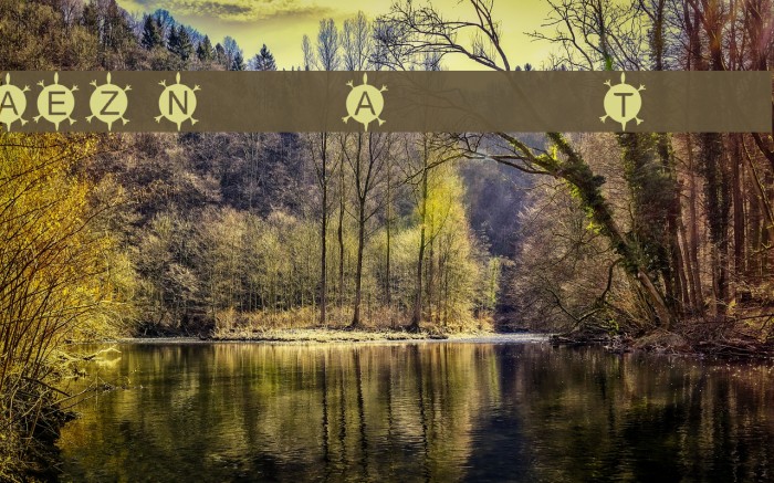AEZ Native American Turtle Font examples