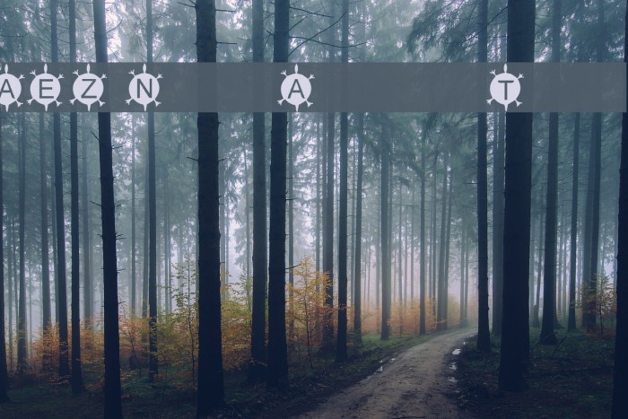 AEZ Native American Turtle Font examples