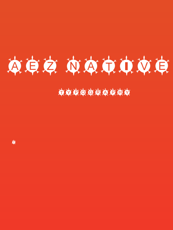 AEZ Native American Turtle Poster