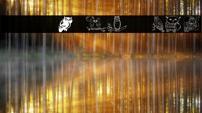 AEZ Owls for Traci Font examples
