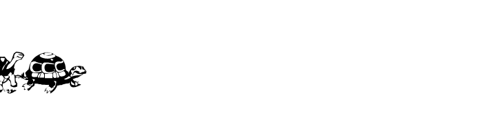 AEZ another turtle font Font
