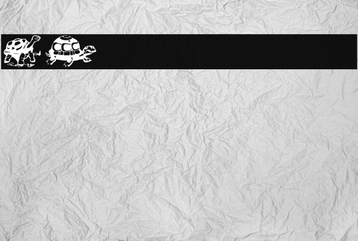 AEZ another turtle font Font examples
