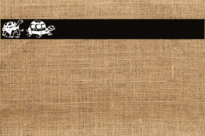 AEZ another turtle font Font examples