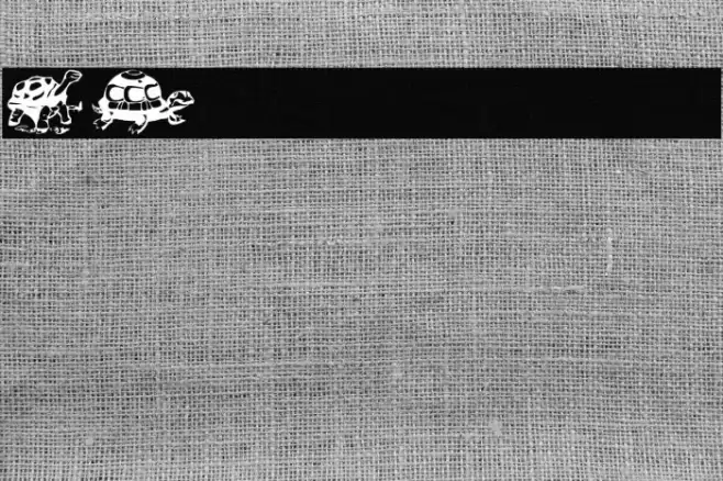 AEZ another turtle font フォント examples