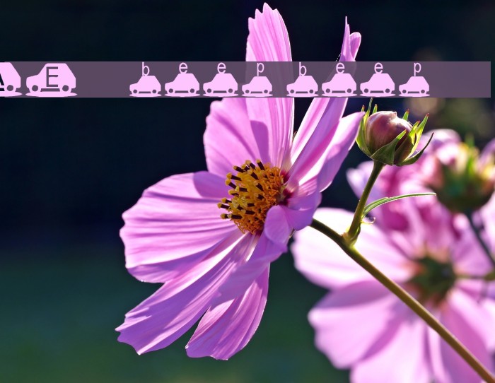 AEZ beep beep! Example 1