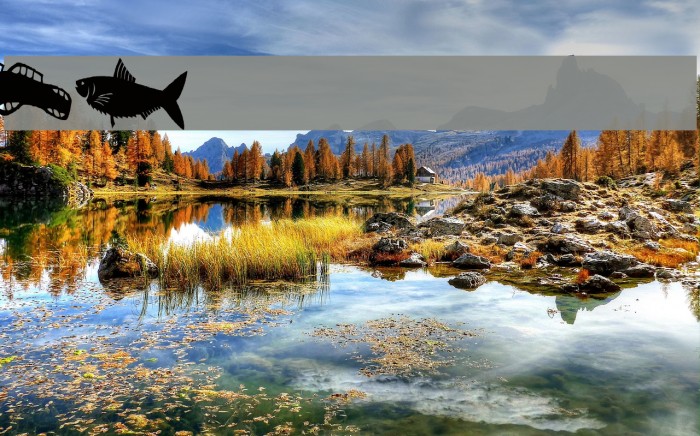 AEZ fishie fishie Example 1