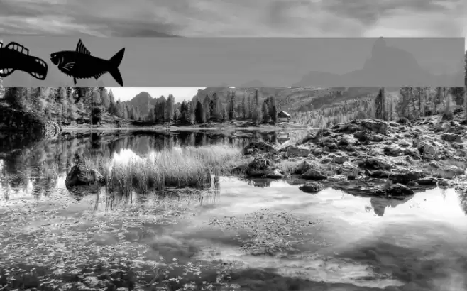 AEZ fishie fishie Font examples