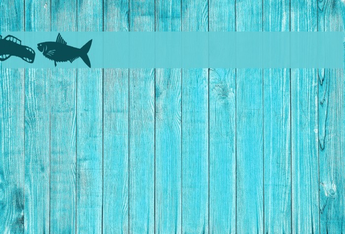 AEZ fishie fishie Example 2