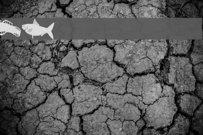 AEZ fishie fishie Font examples