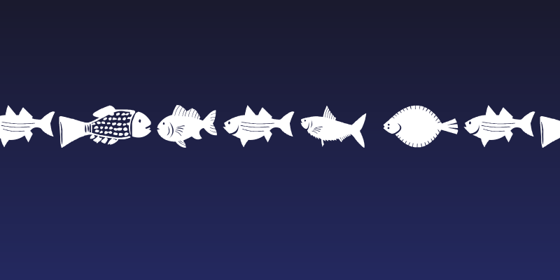 AEZ fishie fishie Social Header