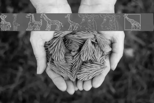 AEZ giraffes Font examples