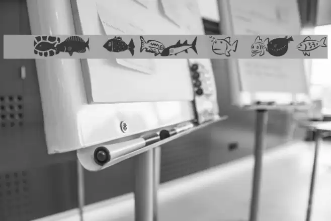 AEZ my pet fish Font examples