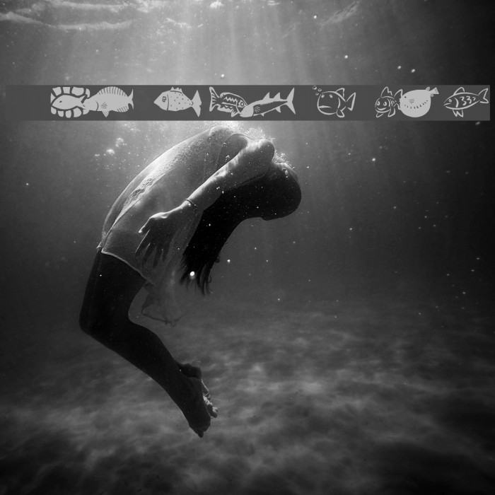 AEZ my pet fish Example 3