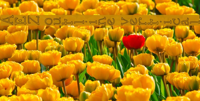 AEZ outline vertical Example 2