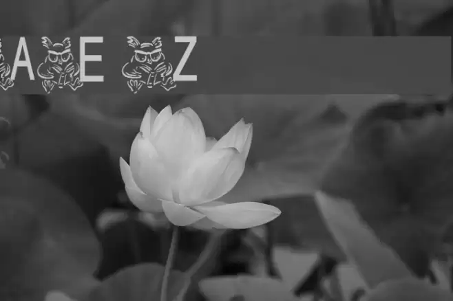 AEZ owlness Font examples