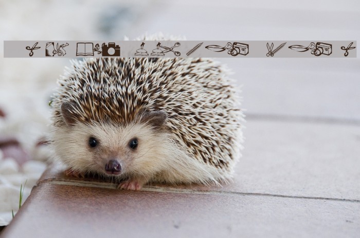 AEZ scrapbooking dings Example 1